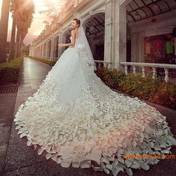 河南鄭州創(chuàng)豐激光承接婚紗花片切割加工,河南鄭州創(chuàng)豐激光承接婚紗花片切割加工生產(chǎn)廠家,河南鄭州創(chuàng)豐激光承接婚紗花片切割加工價格