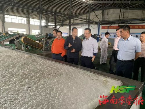 王業僑率隊赴昌江 儋州督導集中開工項目和企業運營