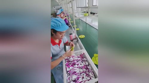 這就是加工廠,里面的美女這么多,以后不愁老婆了