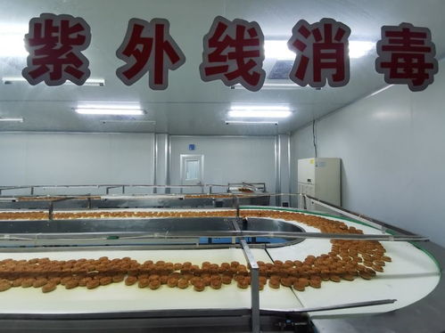 喜來順食品公司迎來黃淮學院生物與食品工程學院農產品加工團隊參觀考察