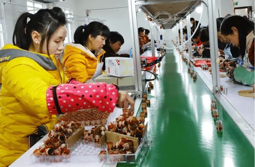 寧強一工廠,帶動218人累計增收近46萬