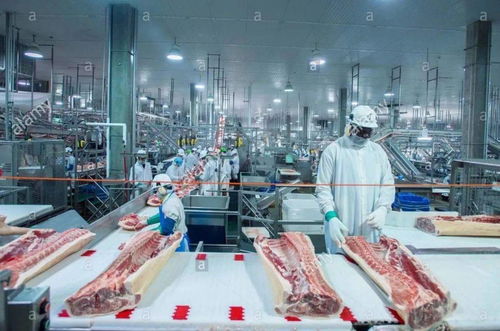 如何評估一塊豬肉好不好 關于肉質你需要知道的事