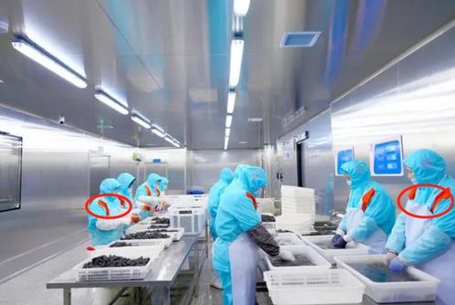 白色粉末 泡出黃金鮑,海鮮加工廠違規(guī)使用化學(xué)添加劑