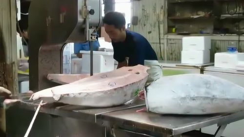 加工廠處理冰凍金槍魚,在專業的機器上,石頭一樣的魚肉也跟豆腐一樣