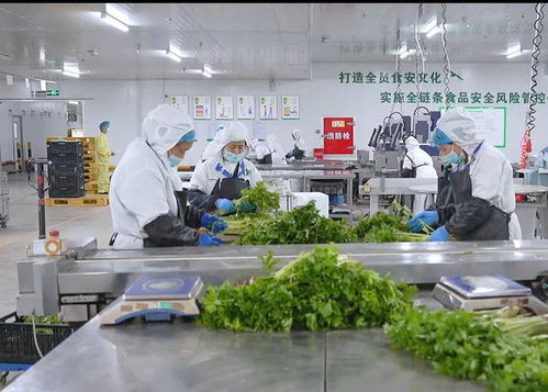 穿透式 監(jiān)管生產(chǎn)加工全過程 成都彭州試點打造食品安全顯性化模式