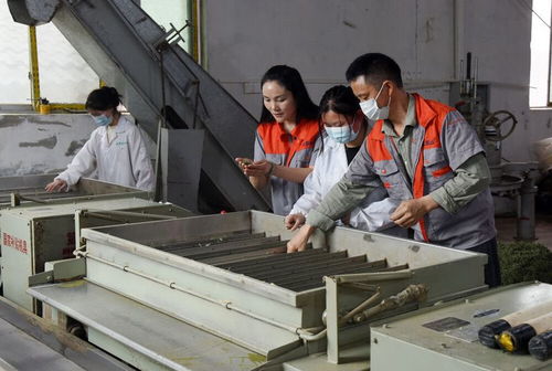 一個女老板和她的兩個加工廠 鳳岡縣返鄉農民工趙小意的創業故事